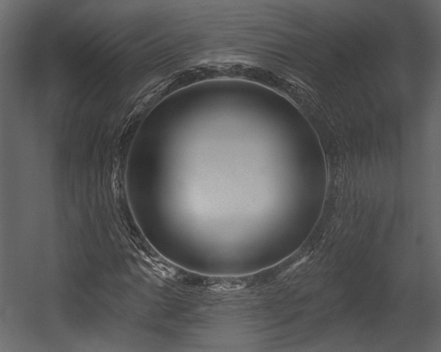 X0000054381014200508011248