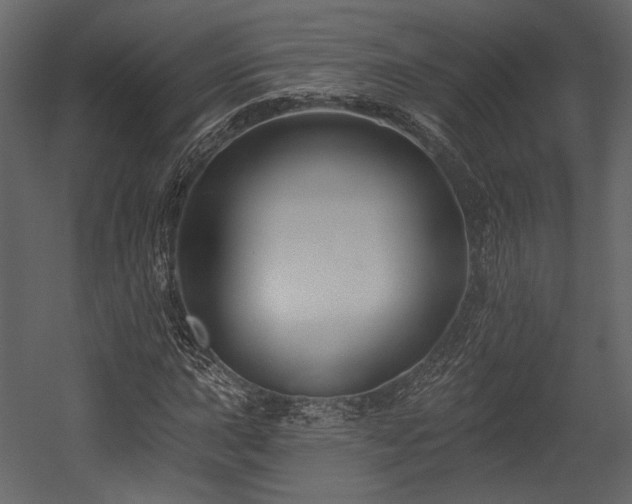X0000054381015200508011248