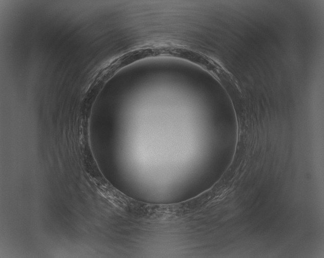 X0000054381016200508011248
