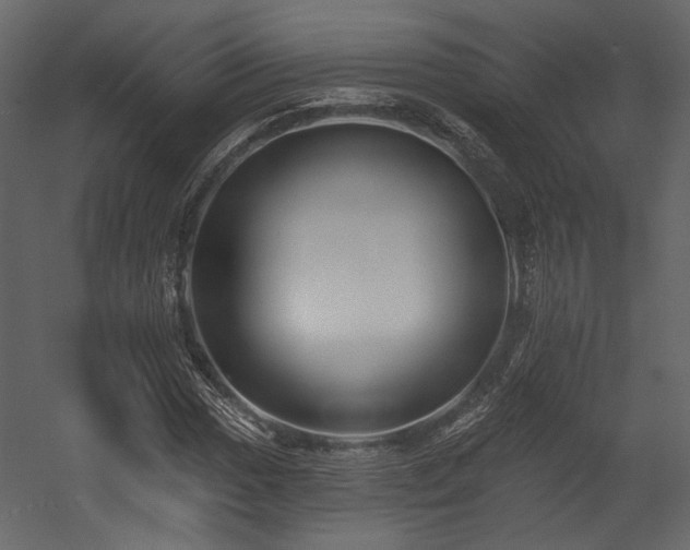 X0000054381017200508011248