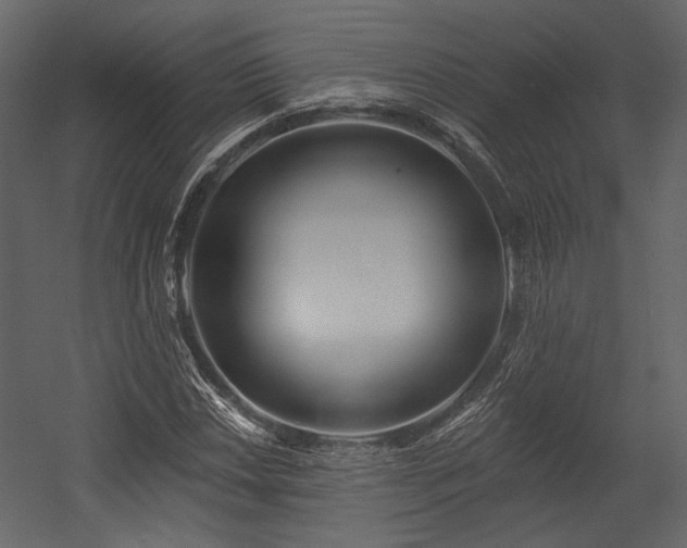 X0000054381018200508011248