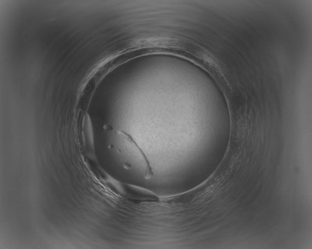 X0000054381019200508011248