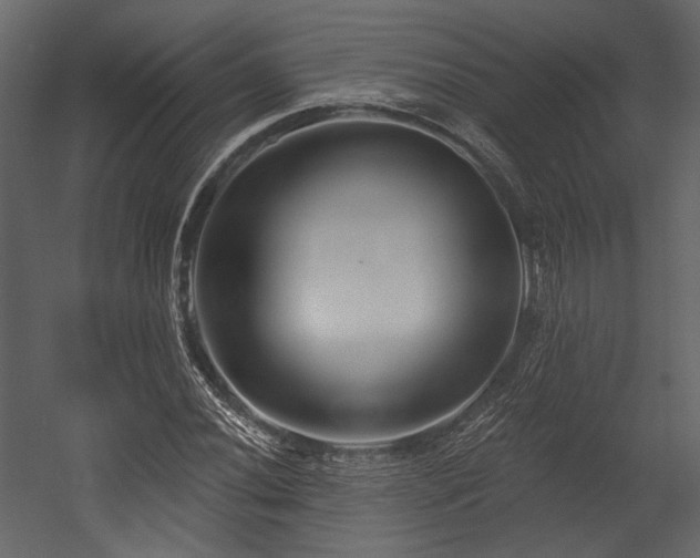 X0000054381020200508011248