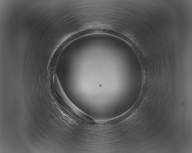 X0000054381022200508011248