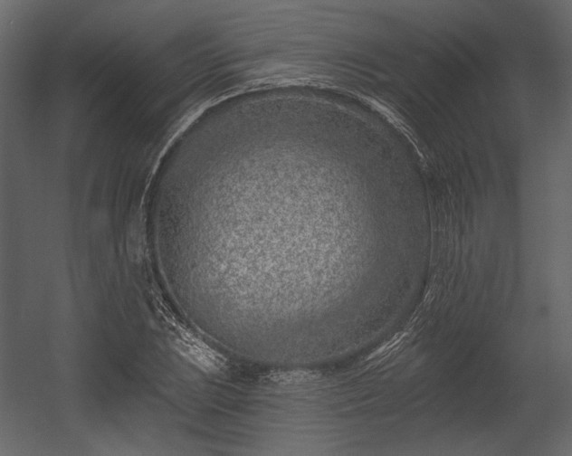 X0000054381023200508011248