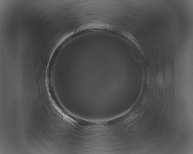 X0000054381024200508011248