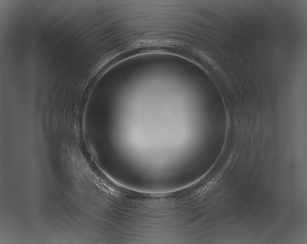 X0000054381025200508011248