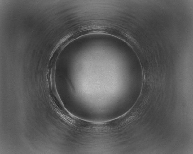 X0000054381026200508011248