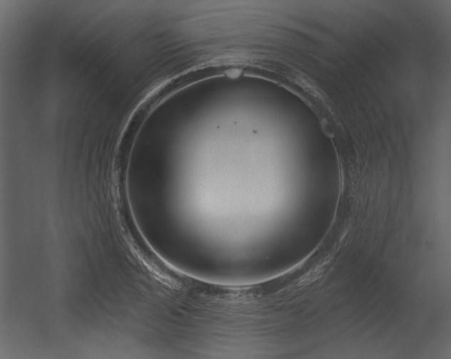 X0000054381029200508011248