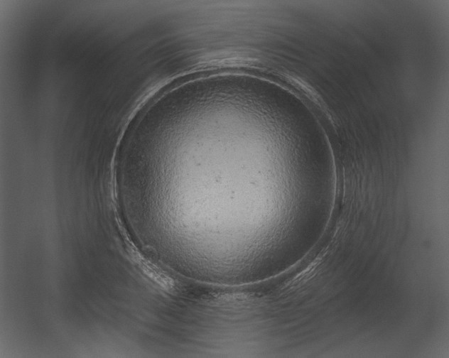 X0000054381031200508011248