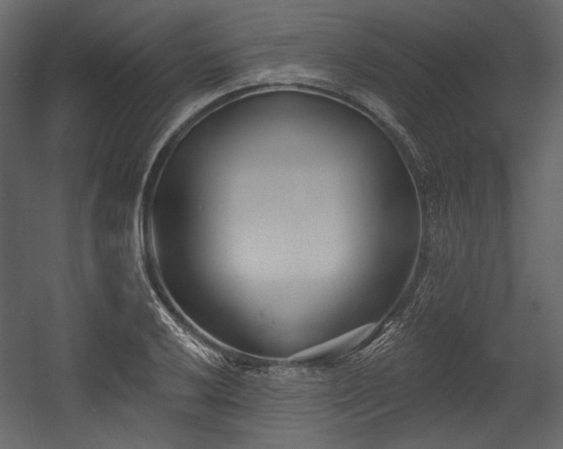 X0000054381032200508011248