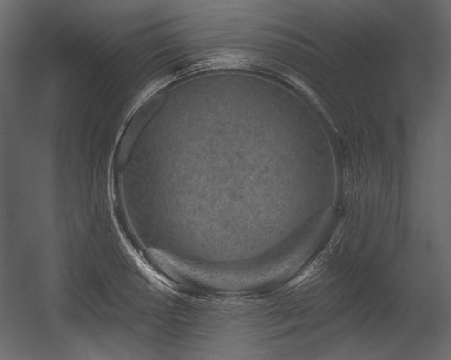 X0000054381034200508011248