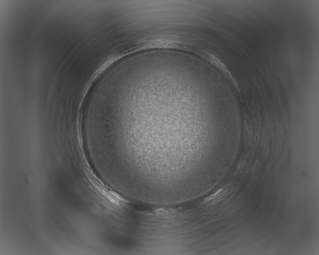 X0000054381035200508011248