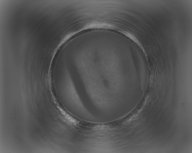 X0000054381037200508011248