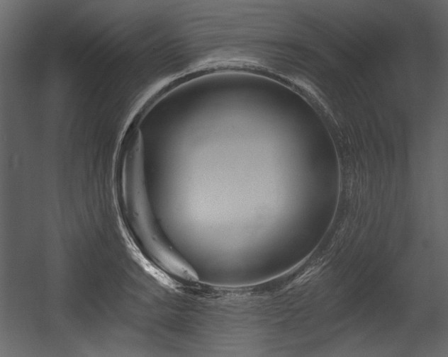 X0000054381038200508011248