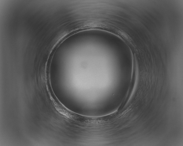 X0000054381039200508011248