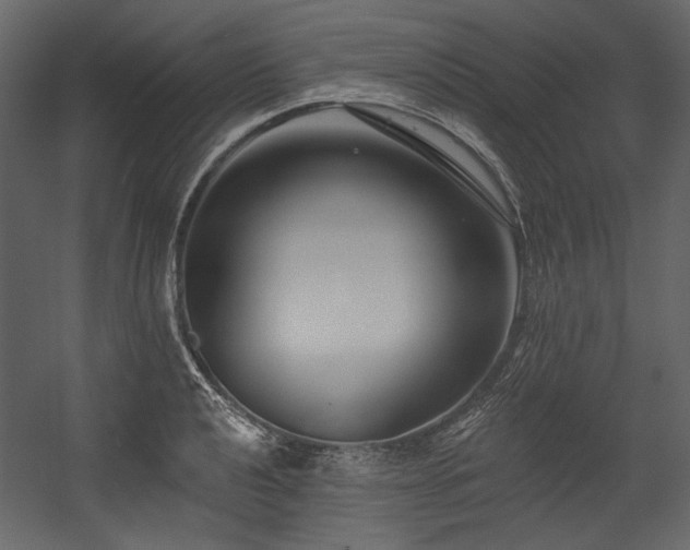 X0000054381040200508011248