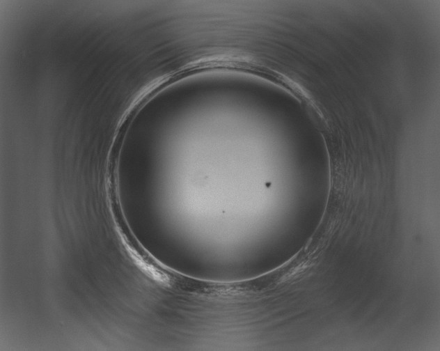 X0000054381042200508011248