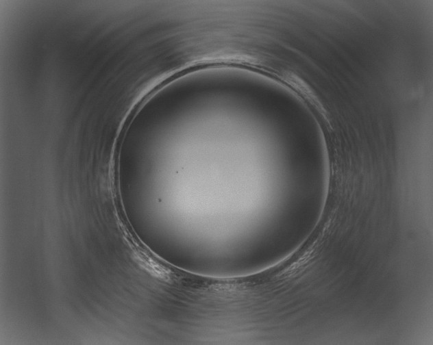 X0000054381044200508011248