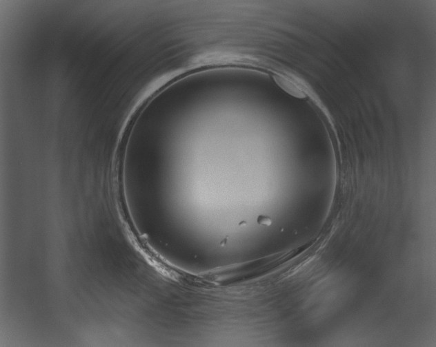 X0000054381053200508011248