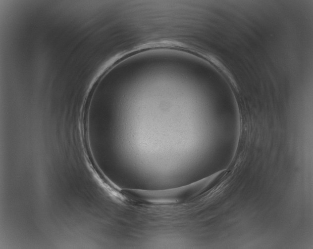 X0000054381054200508011248