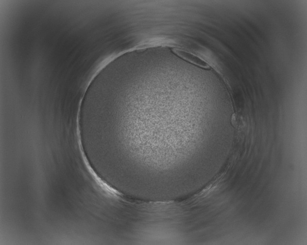 X0000054381055200508011249