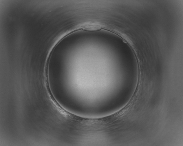 X0000054381056200508011249