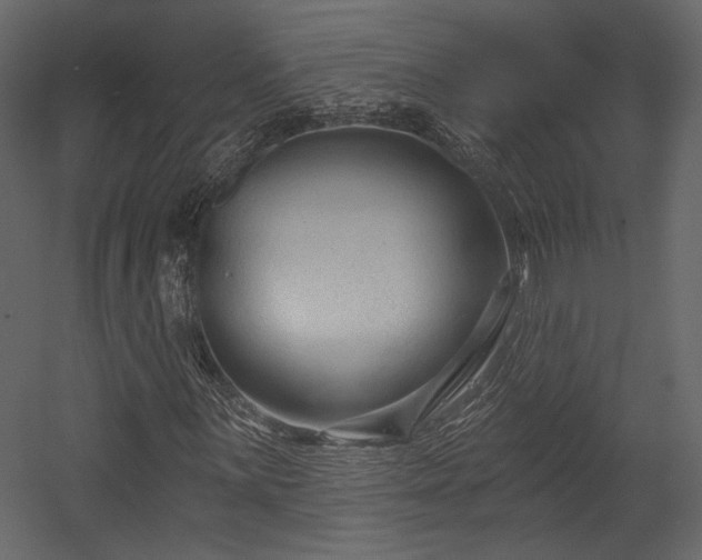 X0000054381059200508011248