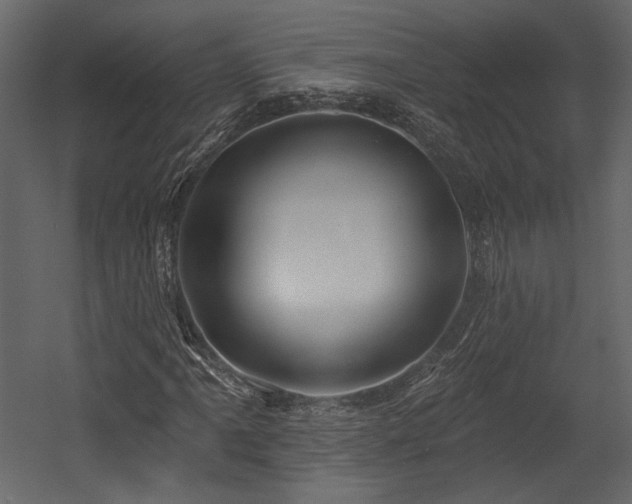 X0000054381061200508011248