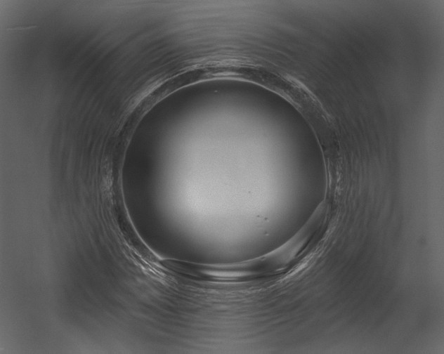 X0000054381065200508011248