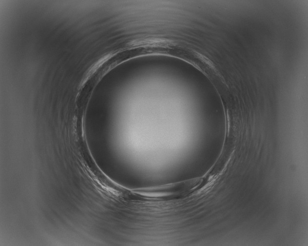 X0000054381066200508011248