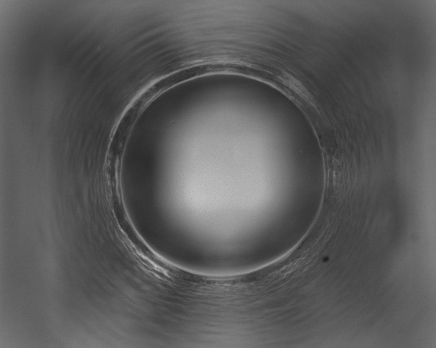 X0000054381068200508011248