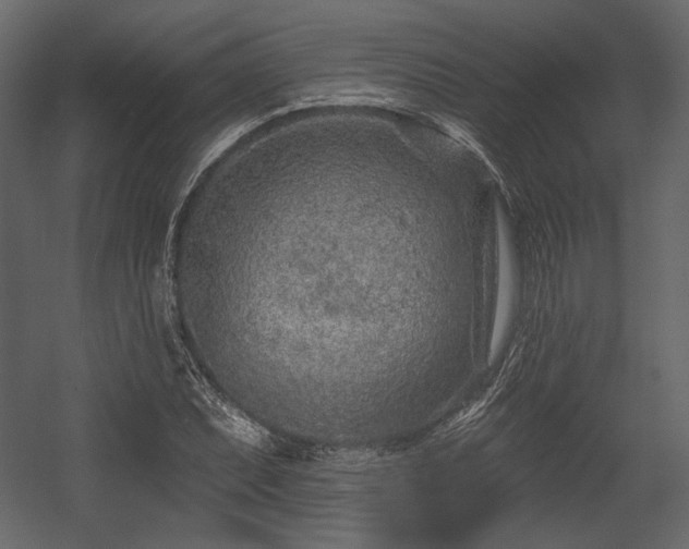 X0000054381071200508011247