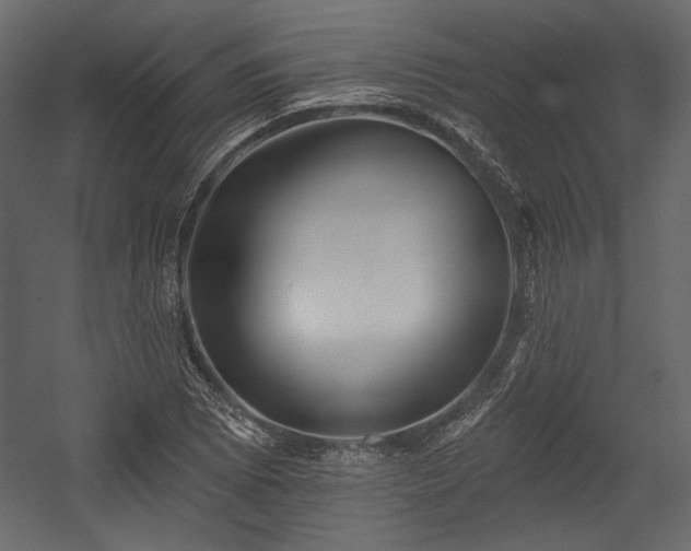 X0000054381073200508011247