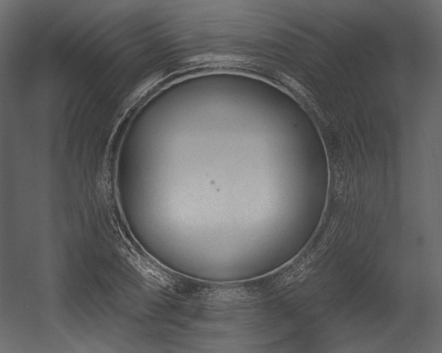 X0000054381074200508011247