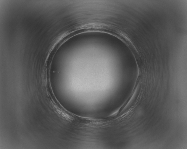 X0000054381075200508011247