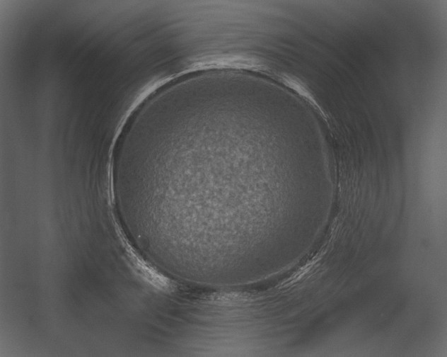 X0000054381079200508011247