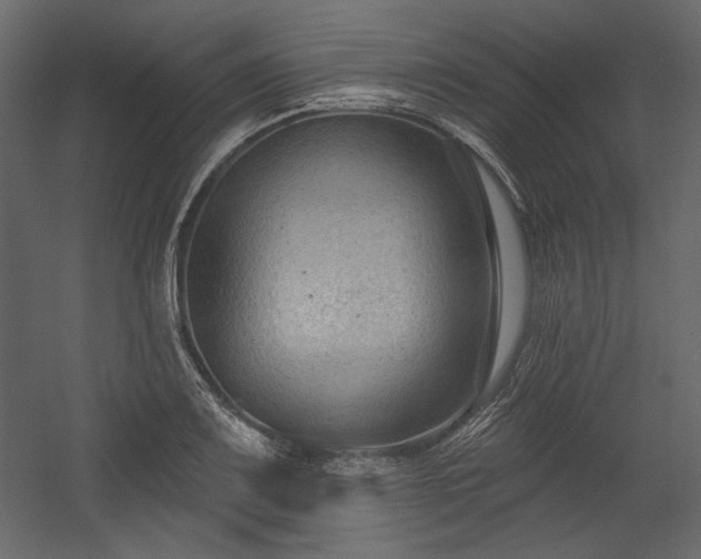 X0000054381083200508011247