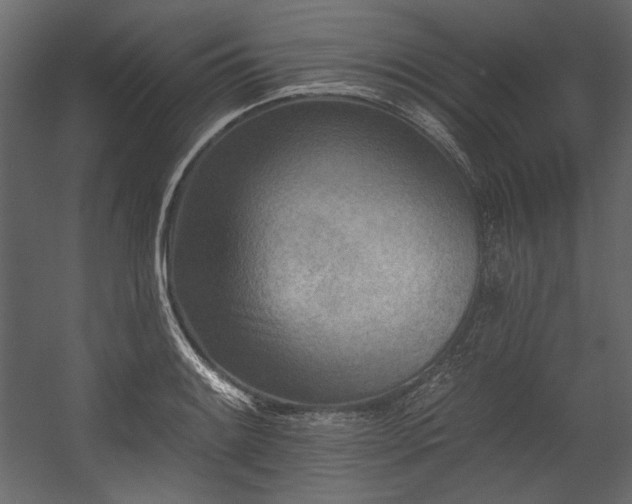 X0000054381084200508011247