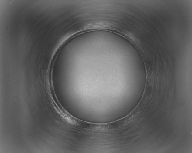 X0000054381086200508011247