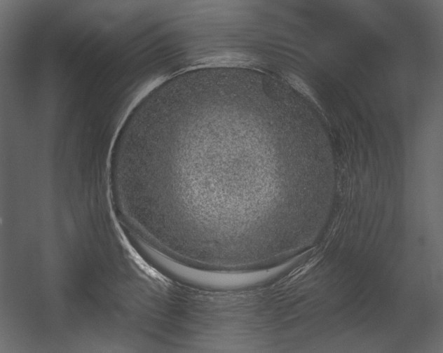 X0000054381087200508011247