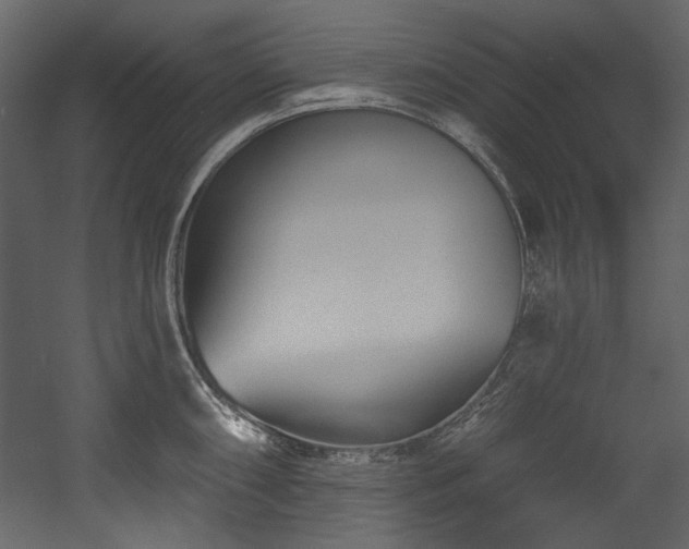 X0000054381098200508011247