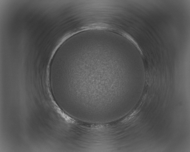 X0000054381099200508011247