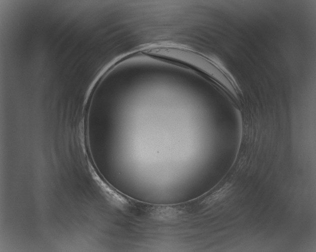 X0000054381100200508011247