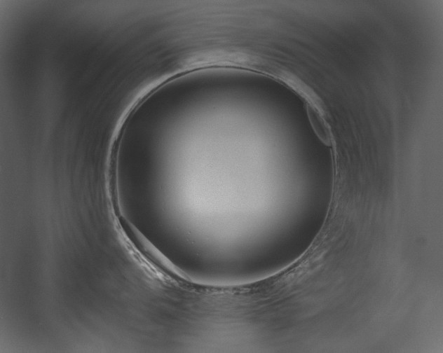 X0000054381104200508011247