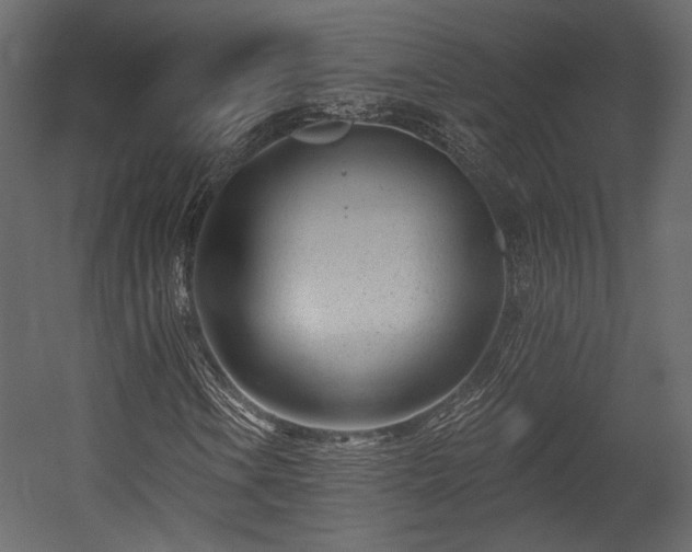 X0000054381106200508011246