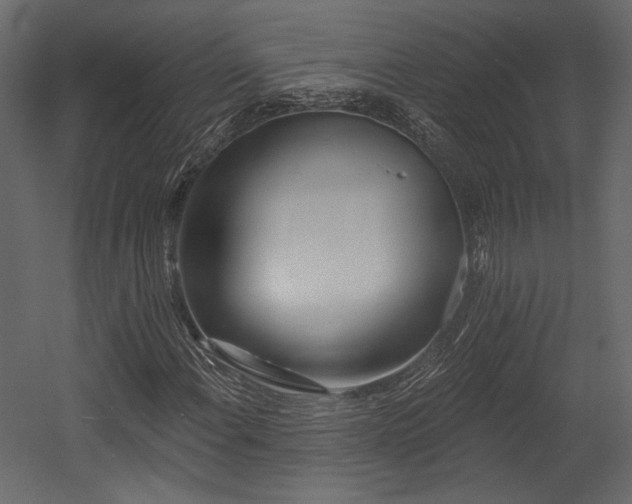 X0000054381108200508011246