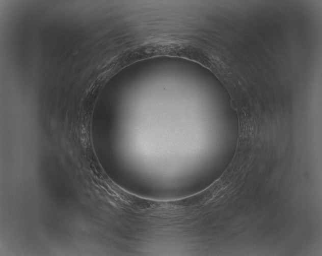 X0000054381109200508011246