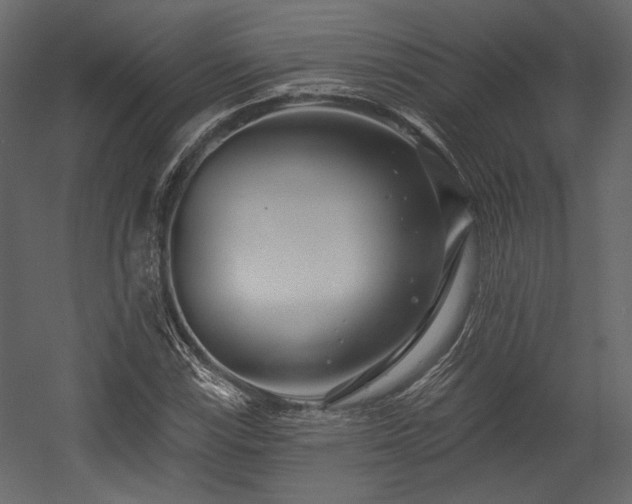 X0000054381115200508011246