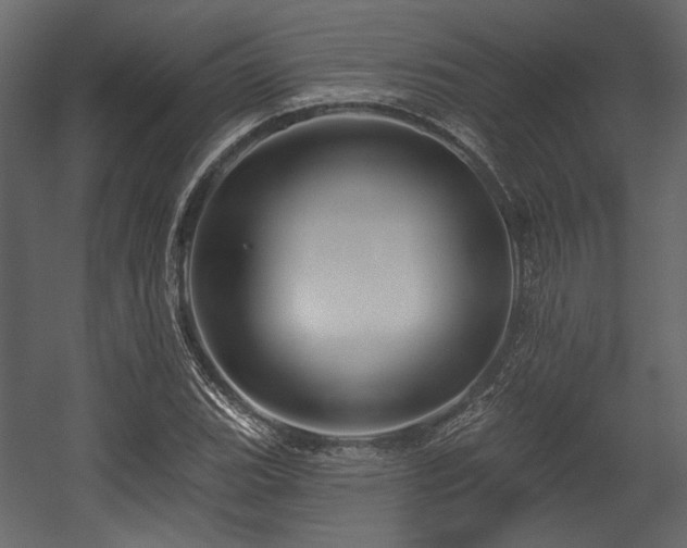 X0000054381119200508011246